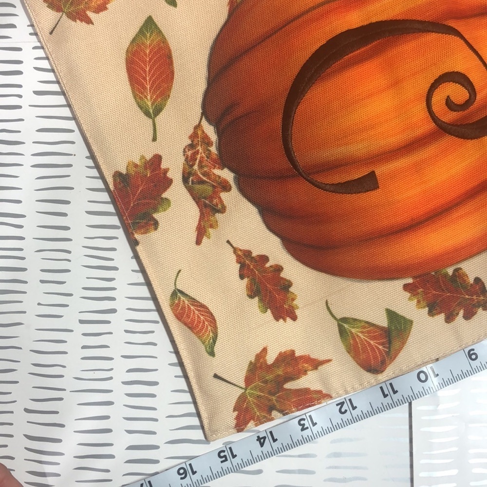 October fall pumpkin - Picture 4 of 8